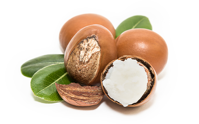 The faster solution for shea